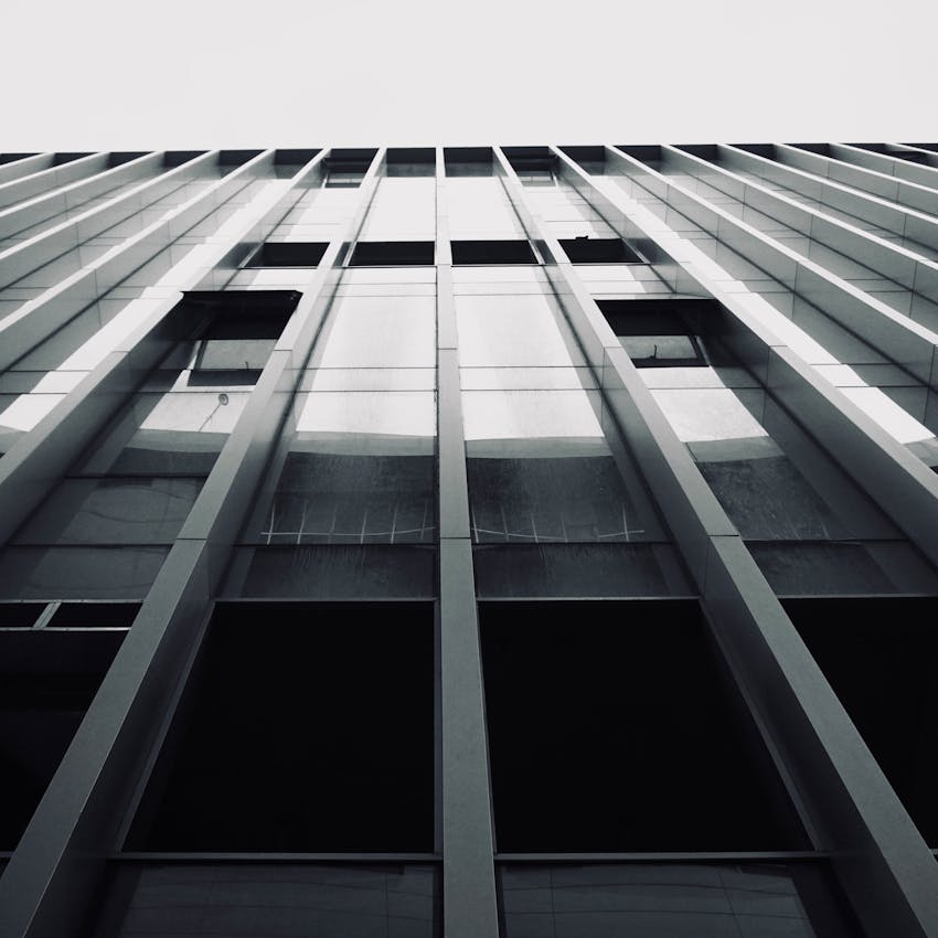 pexels-photo-34658015